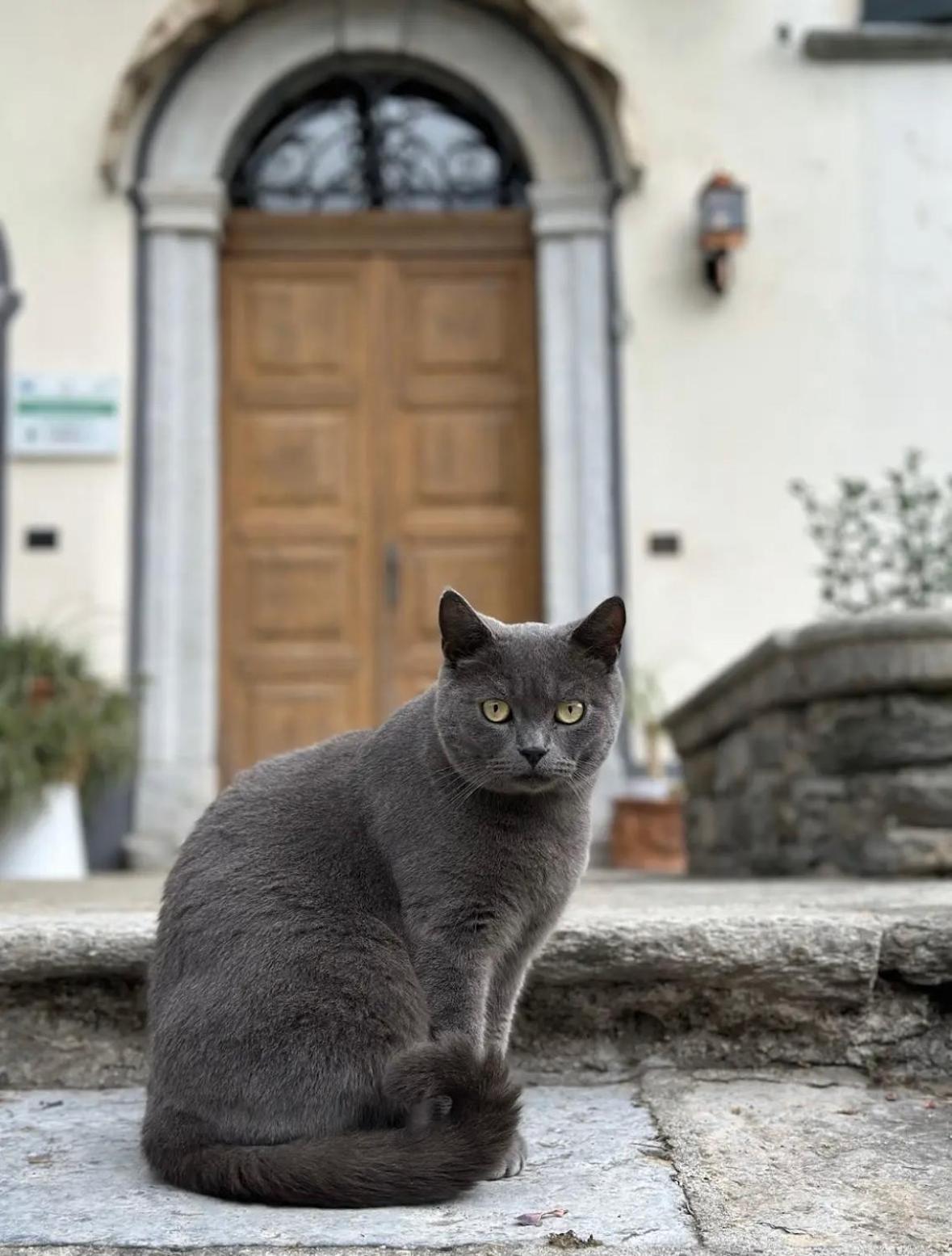 B&B La Dolce Casa Lago Di Como Cremia Luaran gambar