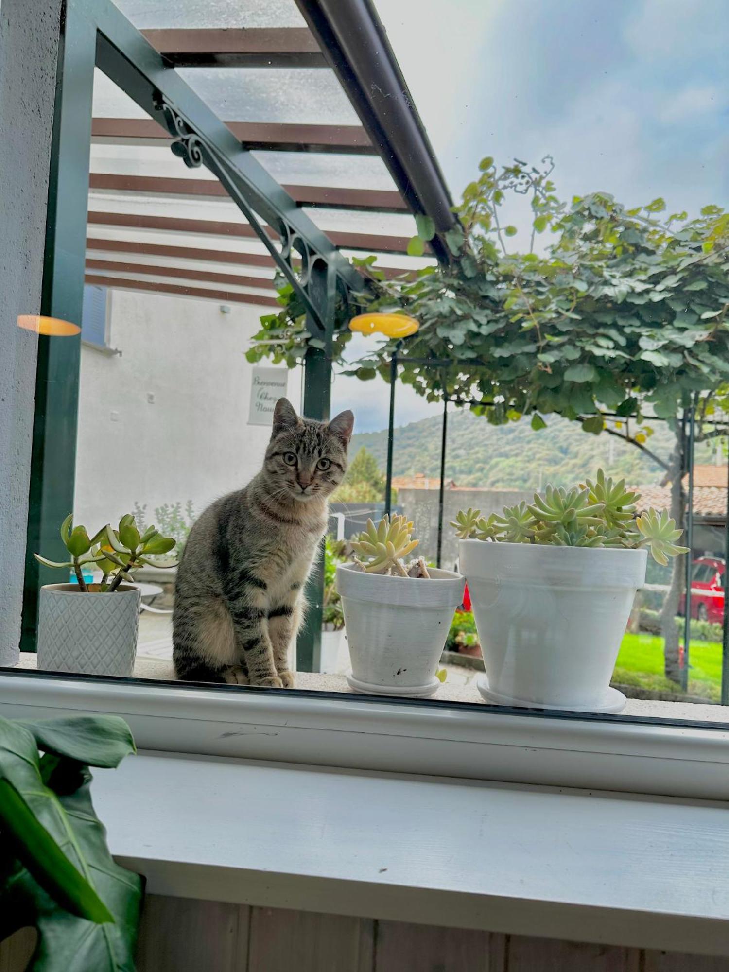 B&B La Dolce Casa Lago Di Como Cremia Luaran gambar